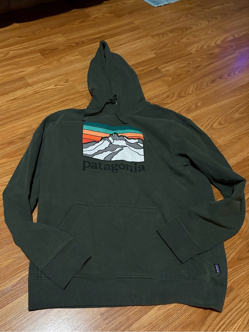 Patagonia Hooded Sweatshirt